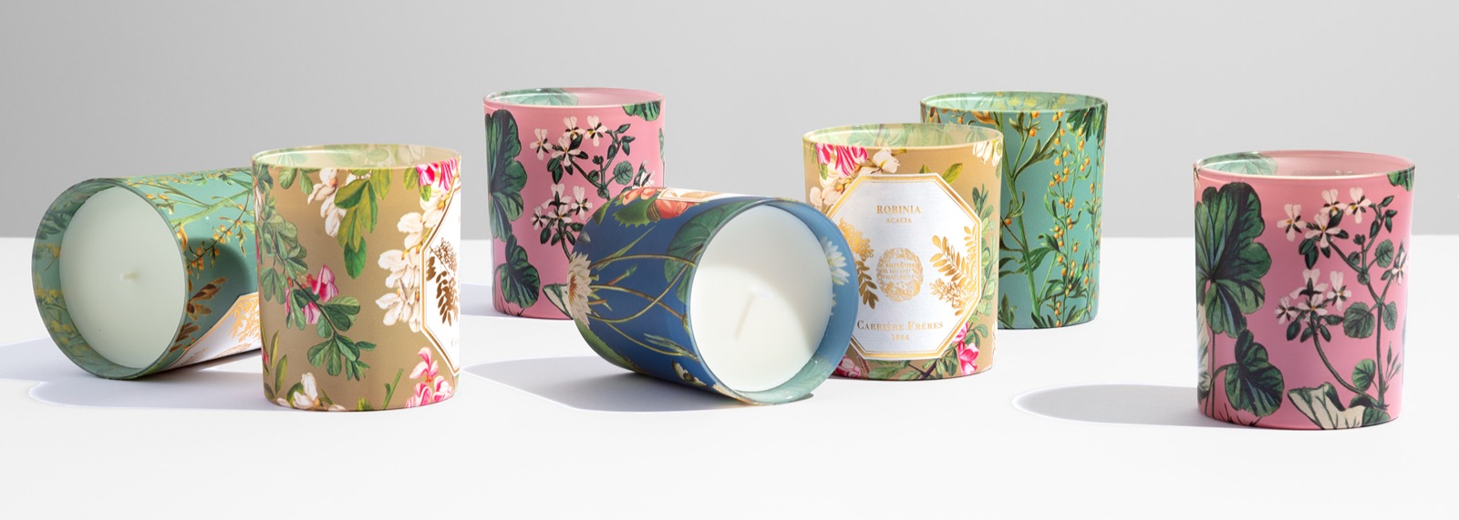 Carrière Frères Museum collection — botanical illustrations from the Muséum national d'Histoire naturelle sublimated on candle glass